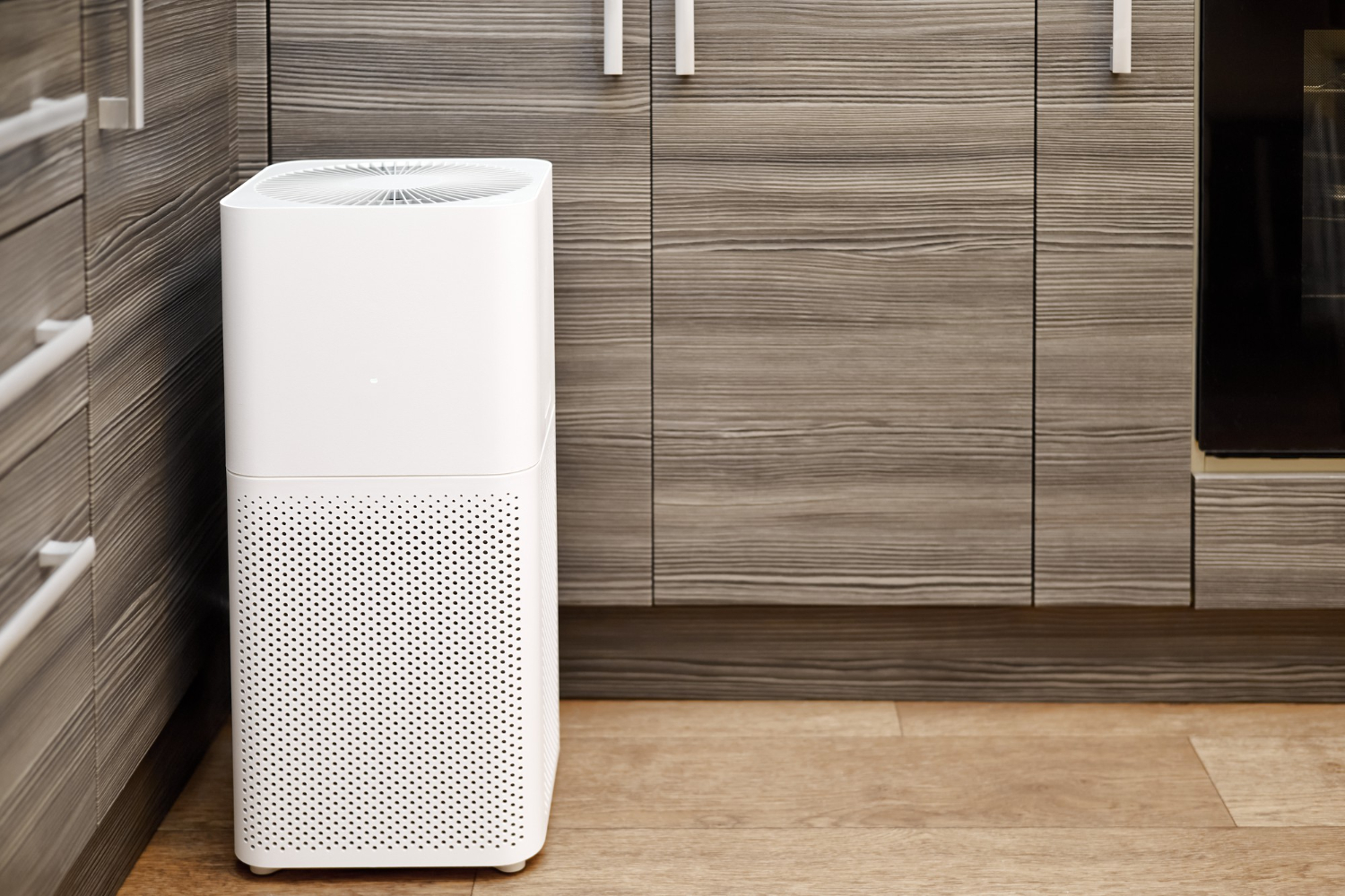 Blog 4 Air Purification